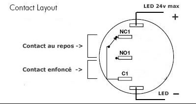 câblage inter lumineux.jpg