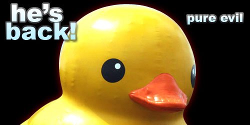duckback.jpg