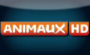 H900 Animaux HD.jpg