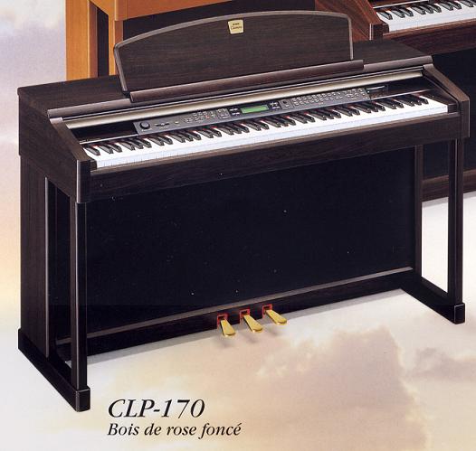 clp170.JPG