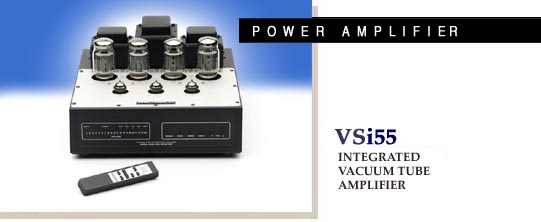 VSi55.amplifier.jpg