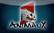 H900 csat Animaux_fr.jpg