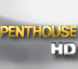 H1000 SFR TV Penthouse HD TV.jpg