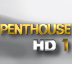 H1000 SFR TV Penthouse HD1 TV.jpg