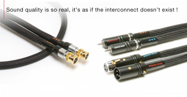 img_singlecore_en.jpg