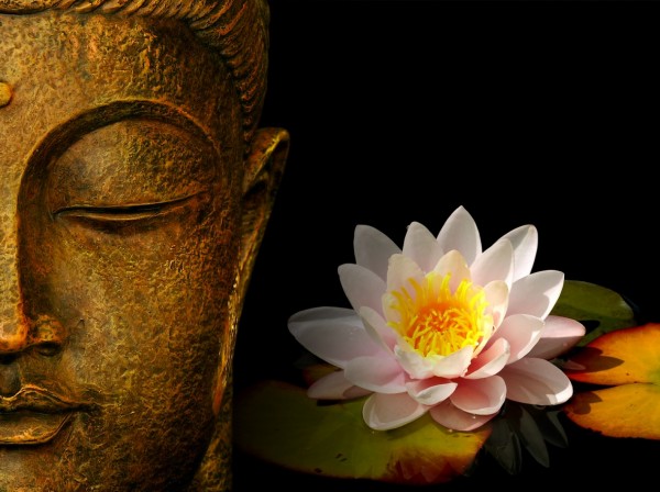 buddha-wallpapers-photos-pictures-h2o-lily.jpg