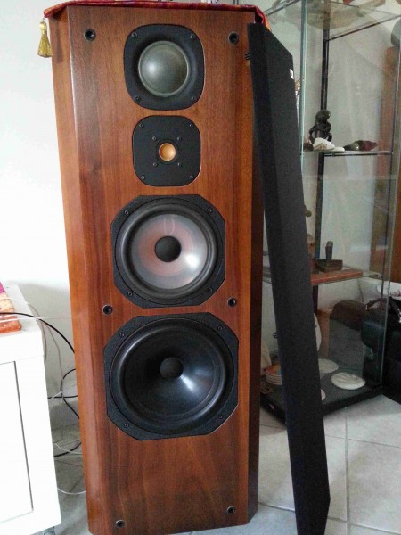 Focal 710 (2).jpg