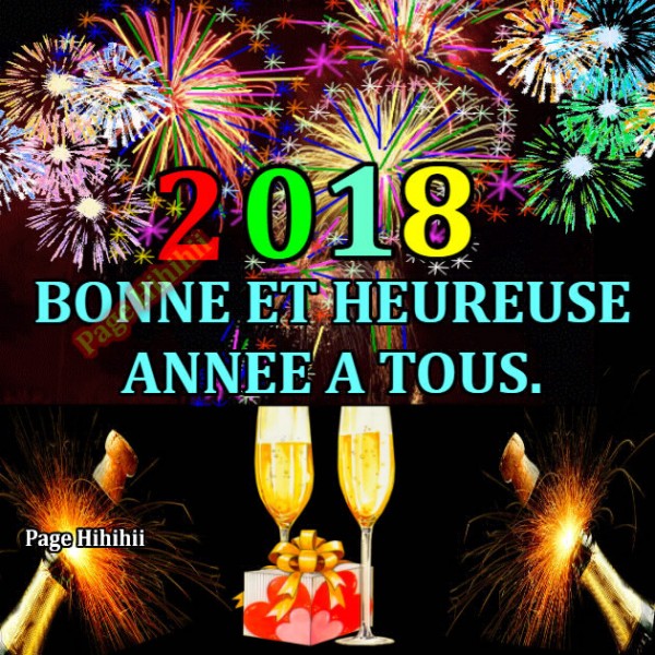 2018-bonne-annee-.jpg