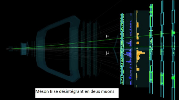 LHC7.jpg