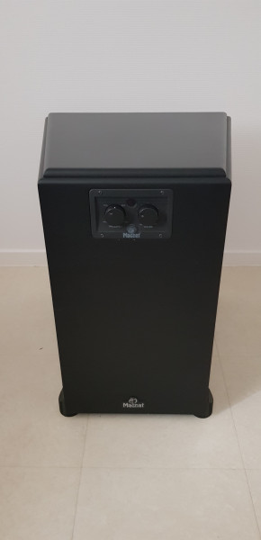 Magnat Omega 380 (3)-min.jpg