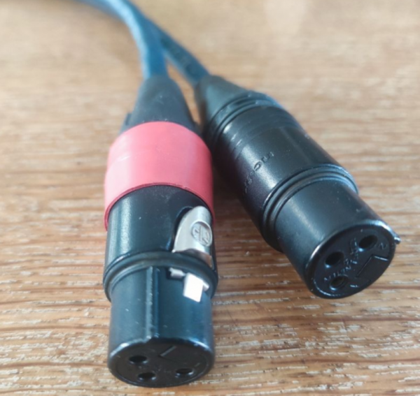 Thot XLR 50 cm - 4.PNG