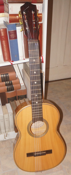 Guitare Gérôme 2.JPG