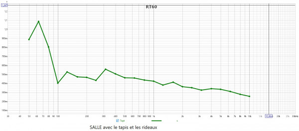 SALLE avec le tapis et les rideaux.jpg