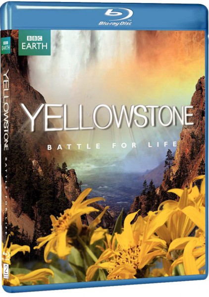 yellowstone.jpg