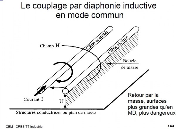 Sans titre 2.jpg