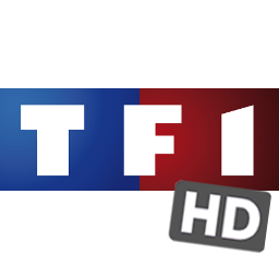 TF1HD gris.png