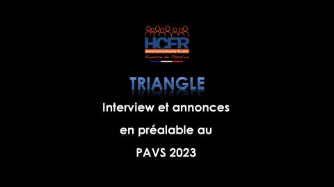 Interview HCFR : pré-PAVS 2023, Triangle